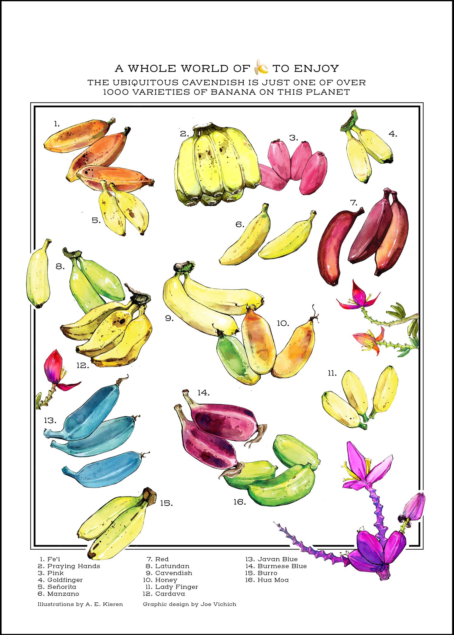Bananas_formatted.jpg