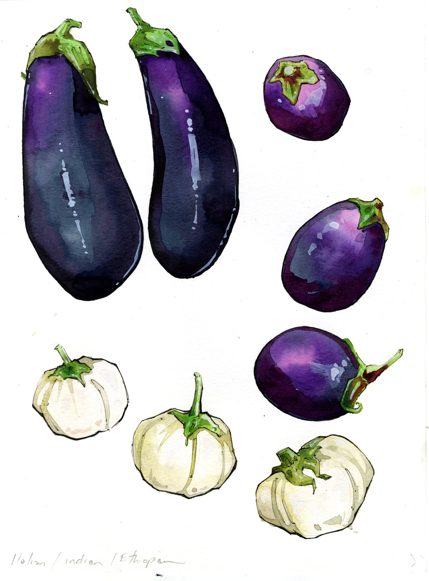 eggplants0007.jpg