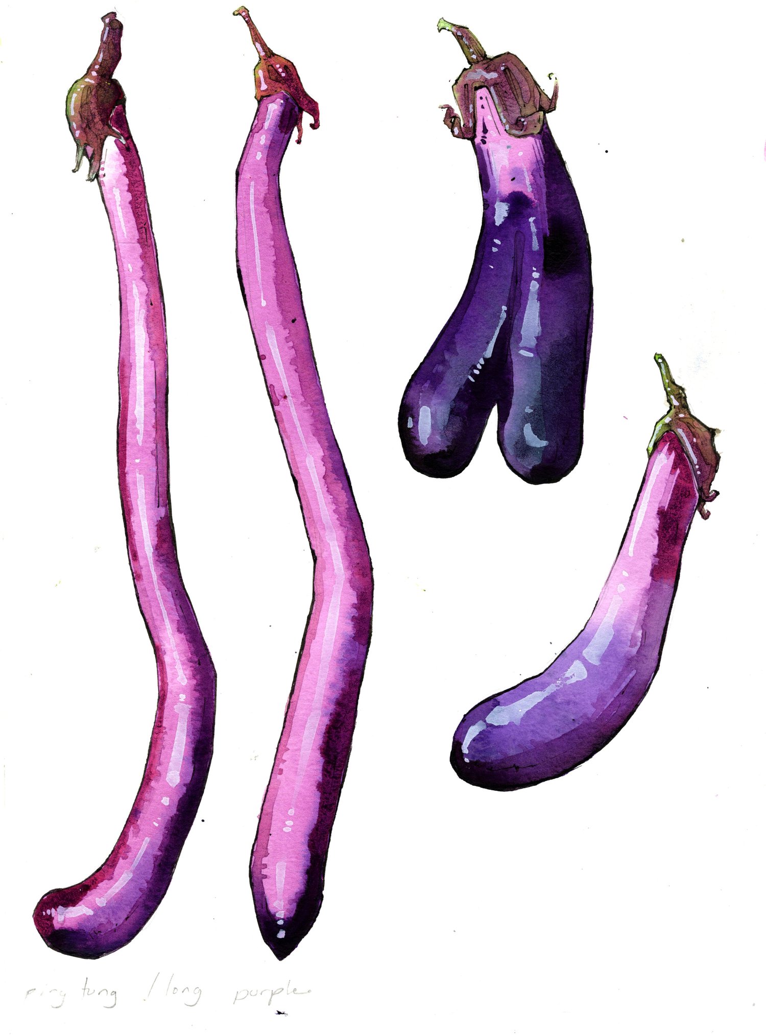 eggplants0010.jpg