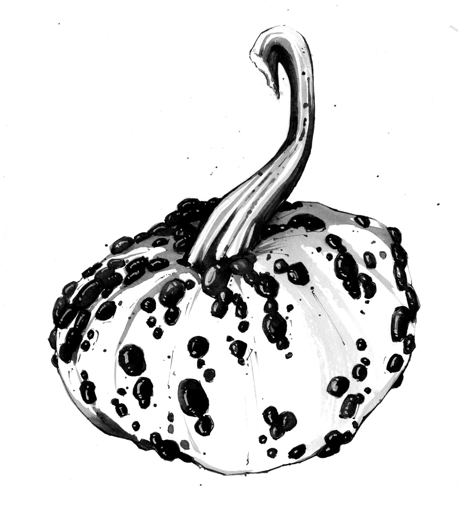 kieren_lunchladygourd.jpg