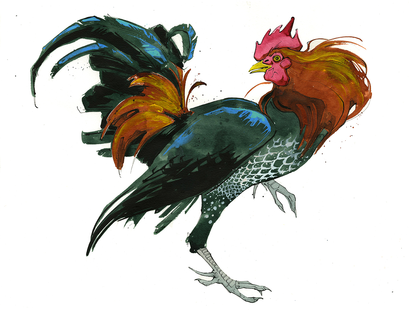 Joao